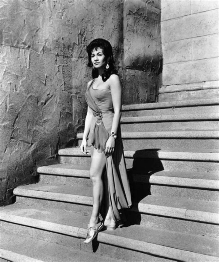 Exploring The Life And Legacy Of Barbara Luna