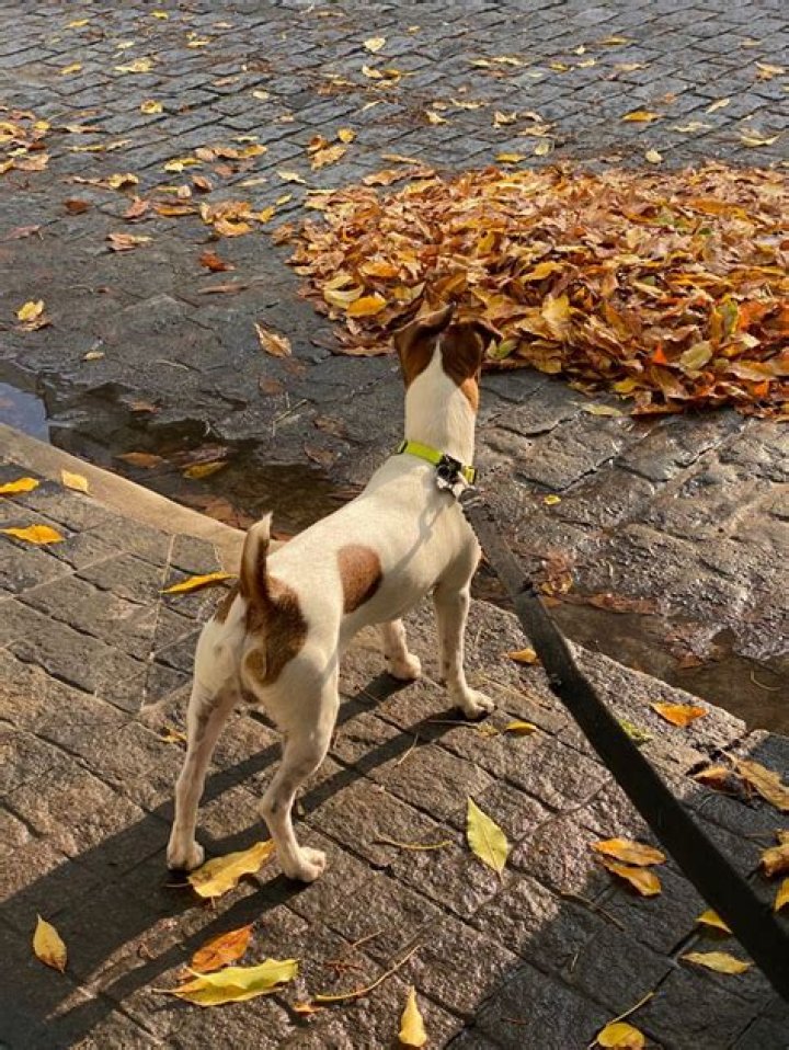 Bella Myr: The Enchanting Journey Of A Rising Star