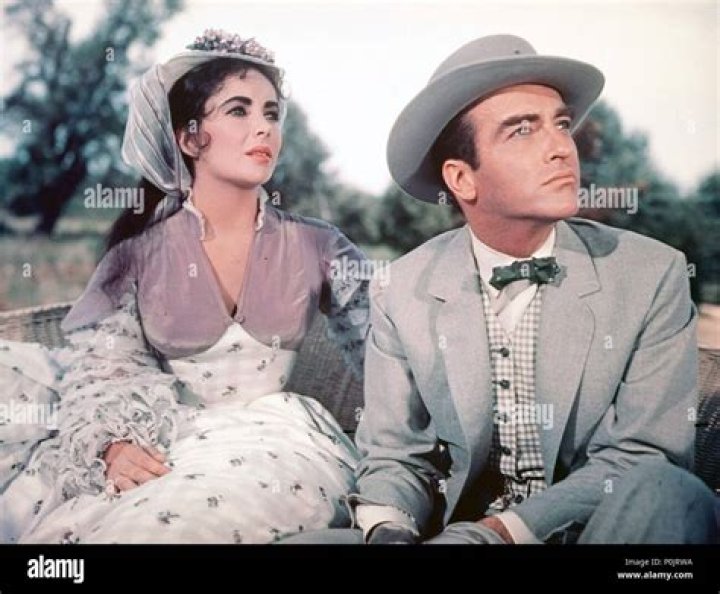 Timeless Chemistry: The Elizabeth Taylor And Montgomery Clift Movie Legacy