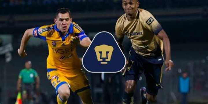 Unveiling The Era Con El Pie Fidel: A Journey Through Time