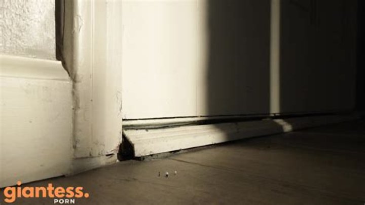 Exploring The Enigma Of Giantess Ave