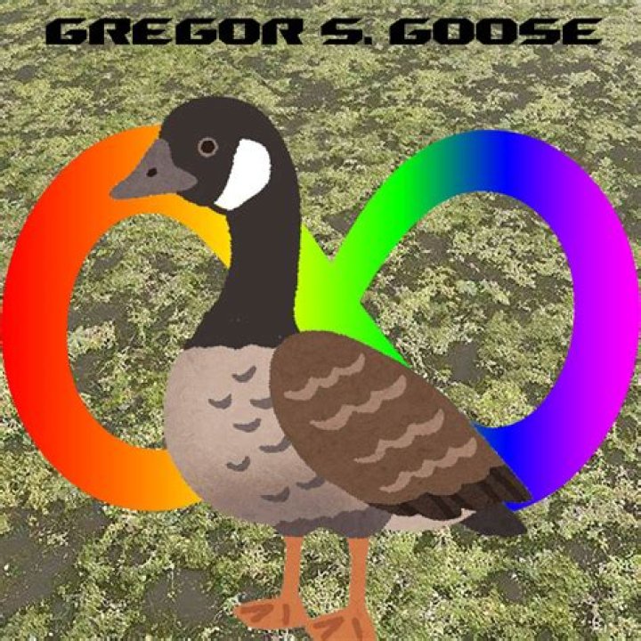 Unraveling The Fascination Behind Goose TikTok