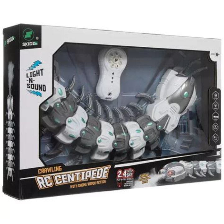 Discovering The Fascination Of Hobby Lobby Centipede