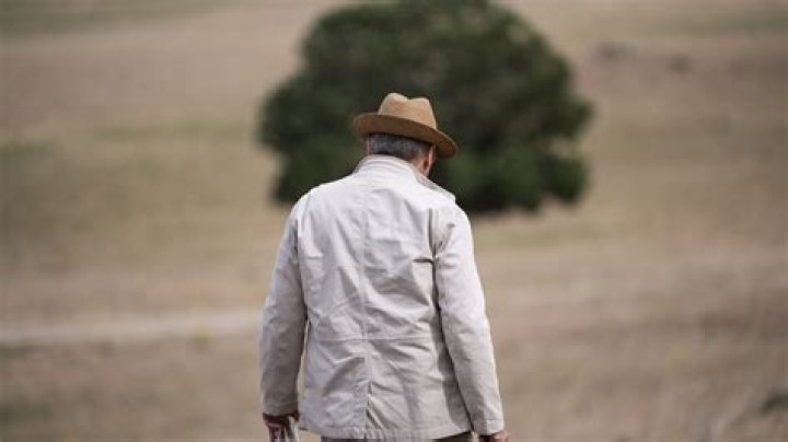 Unveiling James Spader's Political Views: A Deep Dive Into The Actor's Stance