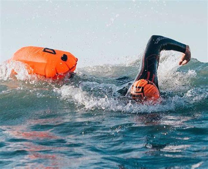 Exploring The Depths: The Fascinating World Of Jonas Dive