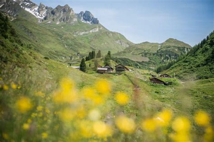 Discovering The Enigma Of Lexgentile: A Journey Through Time