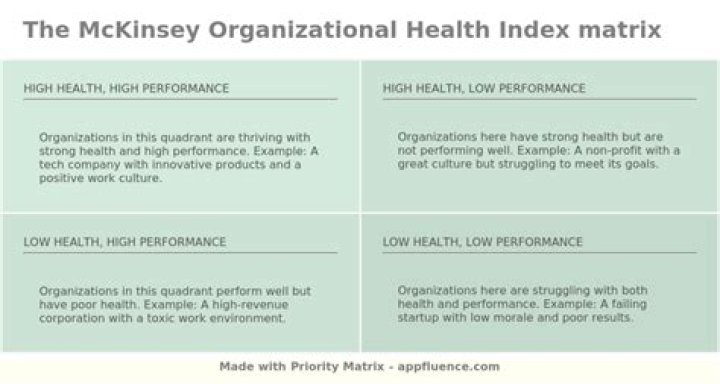 Unlocking Success: The Organizational Health Index By McKinsey
