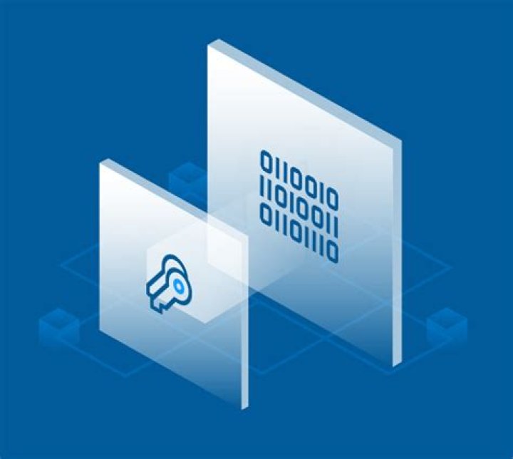 Discovering The World Of Pkio: An Insightful Guide