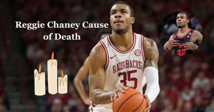 Unraveling The Mystery Behind Reggie Chaney Cause