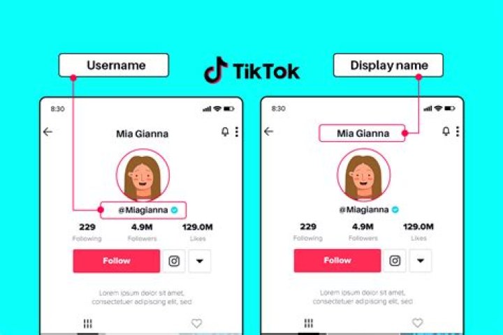 Creative TikTok Nicknames: Stand Out In The Crowd