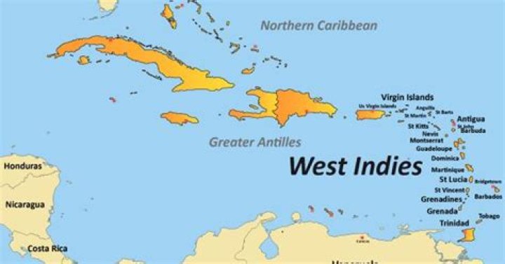 $westindiemamii: The Rising Star Of Social Media