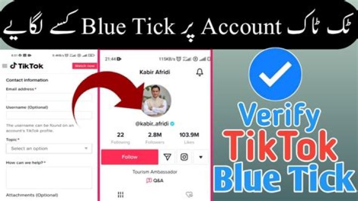 Understanding The Blue Check Mark On TikTok: A Guide For Users
