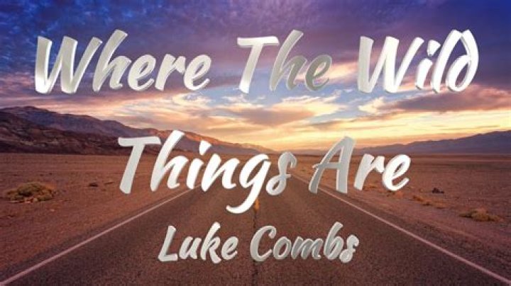 Exploring The Enigma: Who Was Where The Wild Things Are Written About Luke Combs?